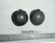 Click for 1 image(s) for this accession. FRUIT
